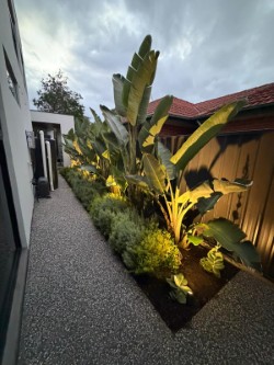 Professional electrician services for outdoor garden lighting installations Outdoor garden space enhanced with energy-efficient lighting by a licensed electrician