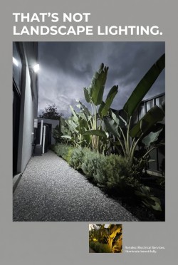 Landscaped garden featuring outdoor lighting designed and installed by an electrician