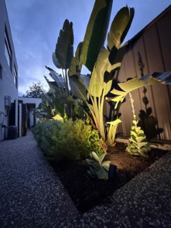 Outdoor garden lighting solutions by an experienced electrician Garden pathway illuminated with outdoor lighting installed by a professional electrician
